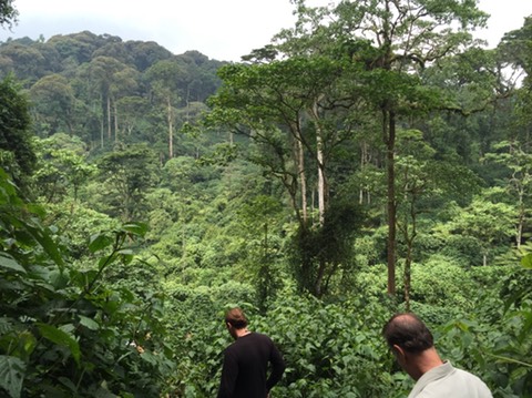 Bwindi J J Dr. Martin heads